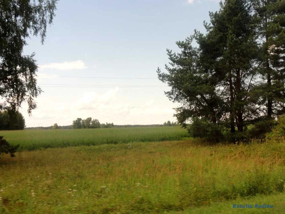 Городецкий район