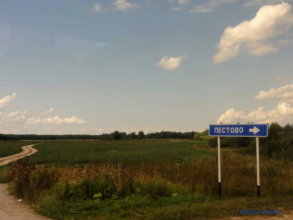 Городецкий район