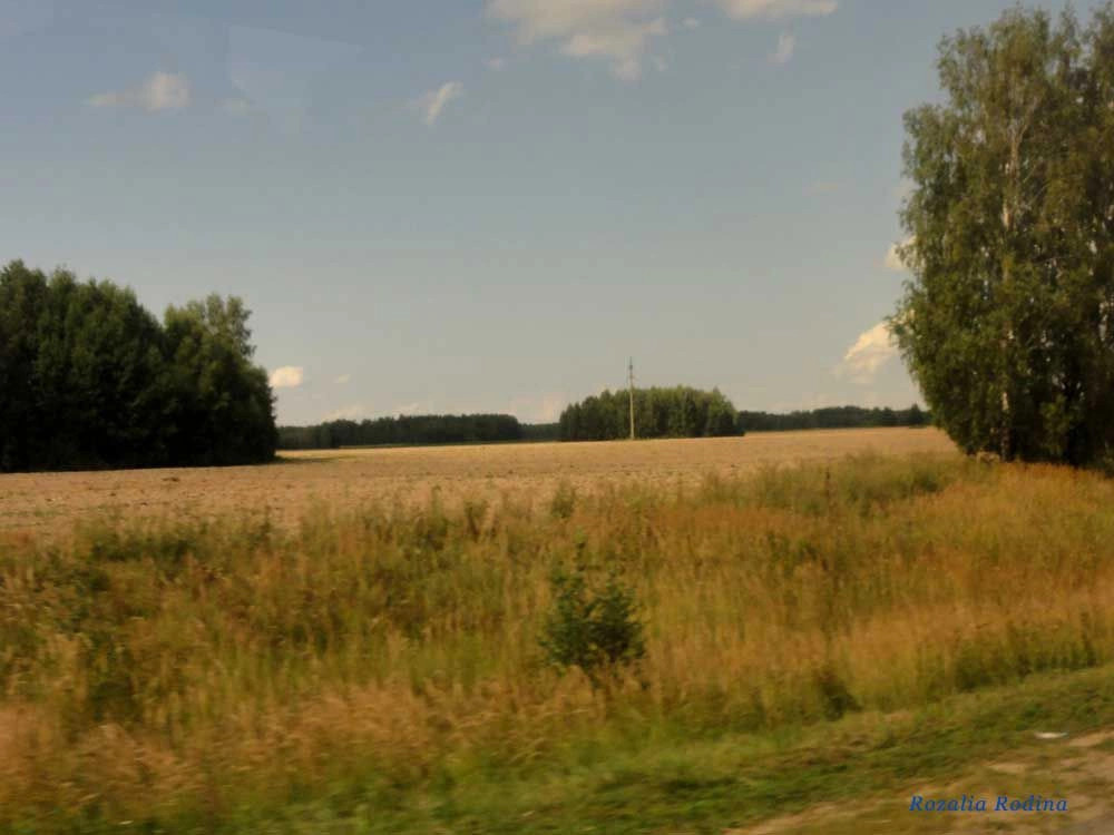 Городецкий район