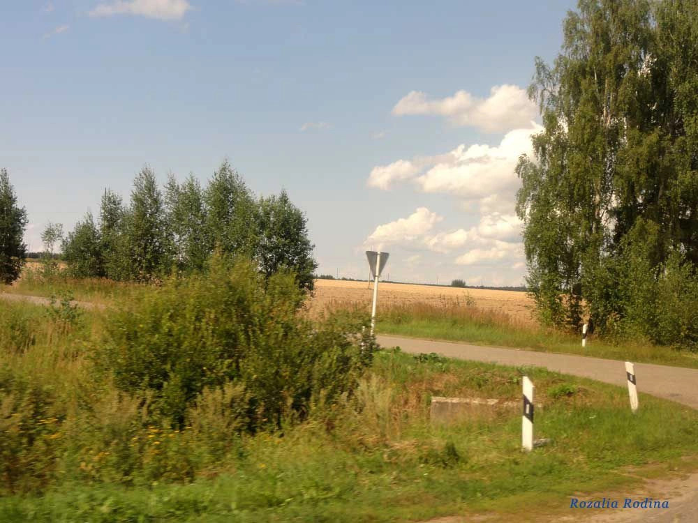 Городецкий район