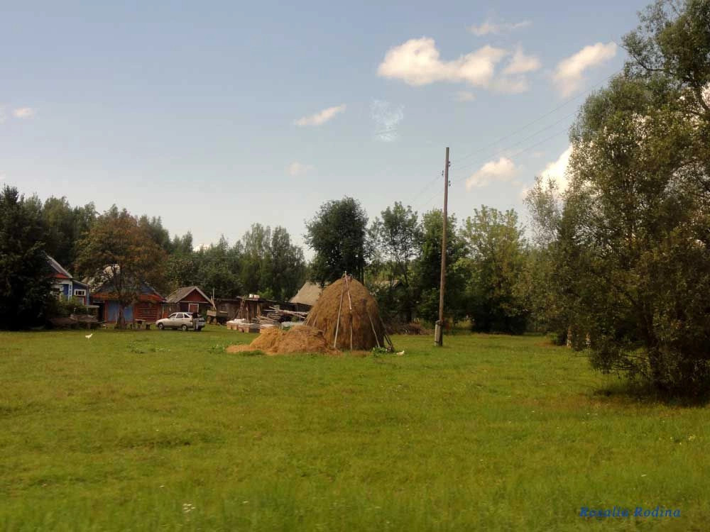 Городецкий район
