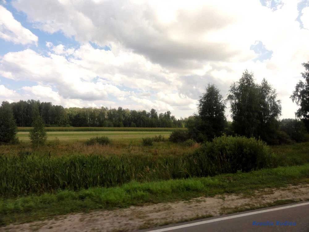 Городецкий район
