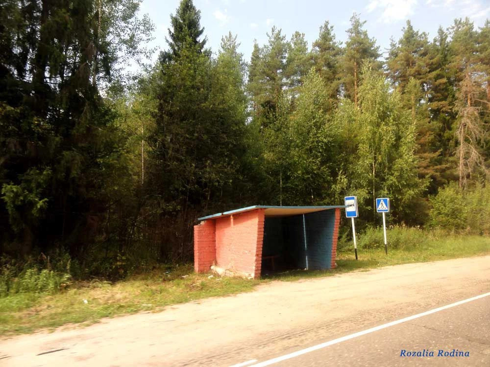 Городецкий район