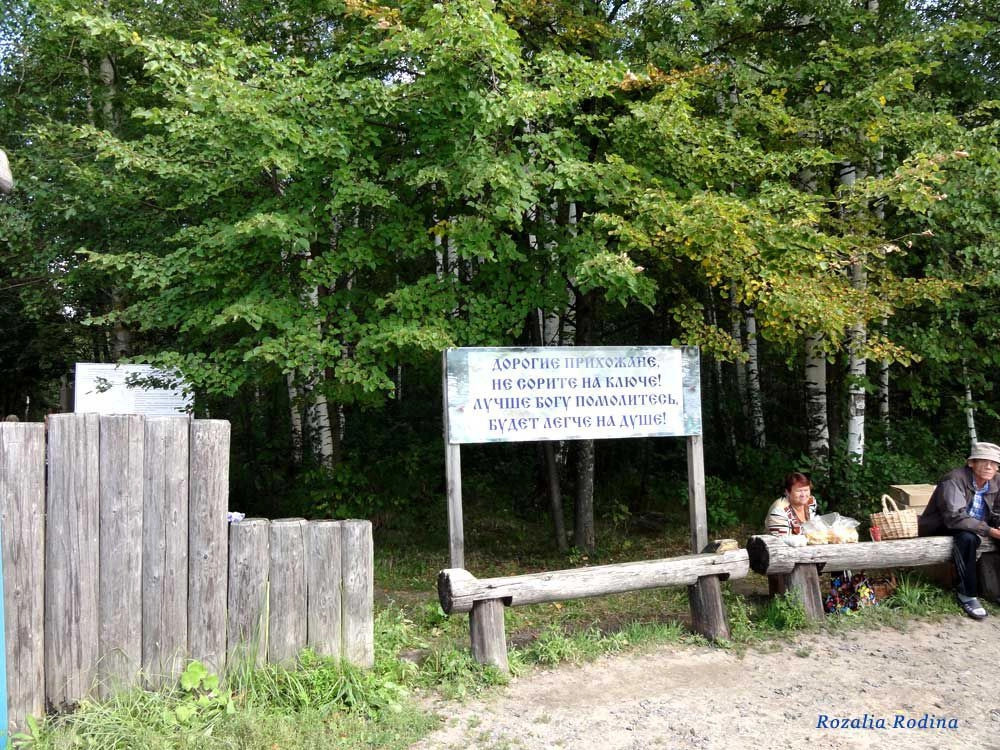 Городецкий район