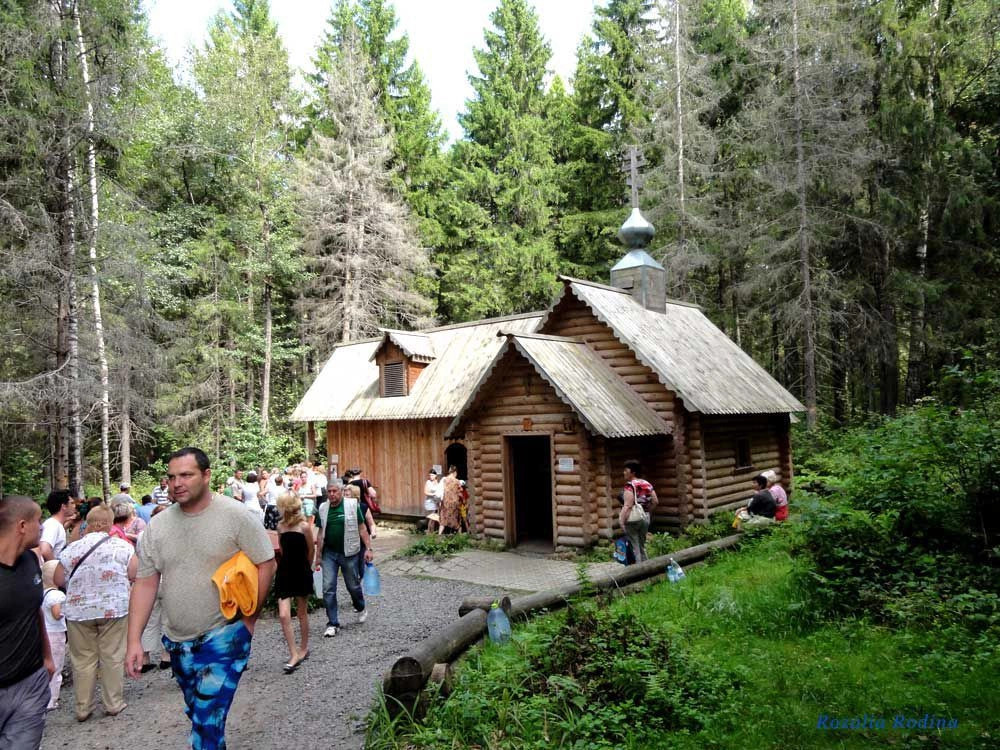 Городецкий район