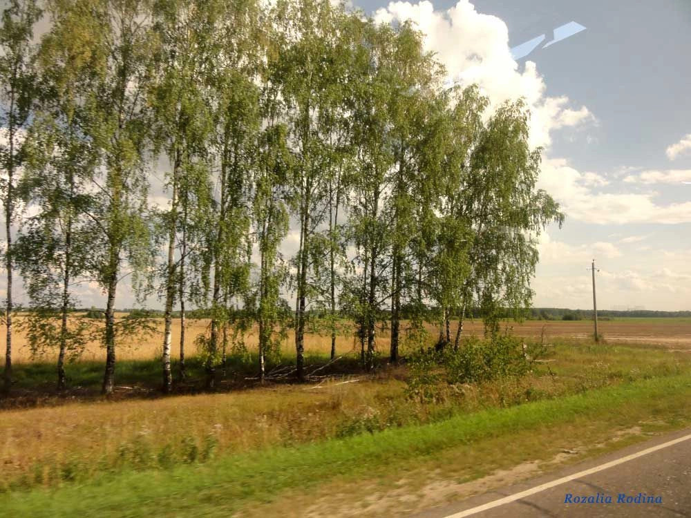 Городецкий район