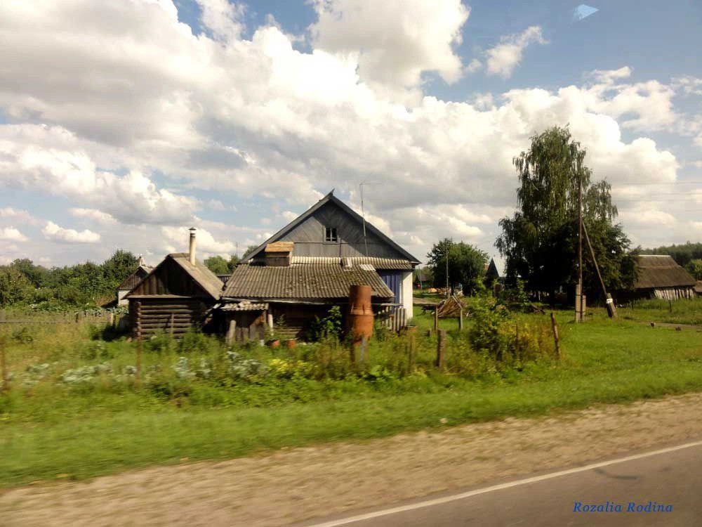 Городецкий район