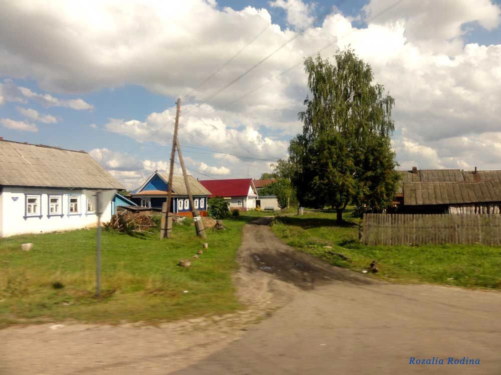 Городецкий район