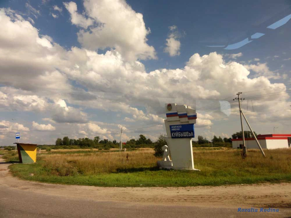 Городецкий район