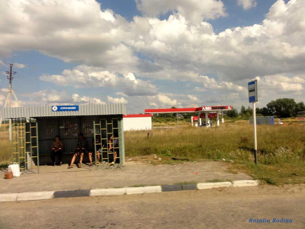 Городецкий район