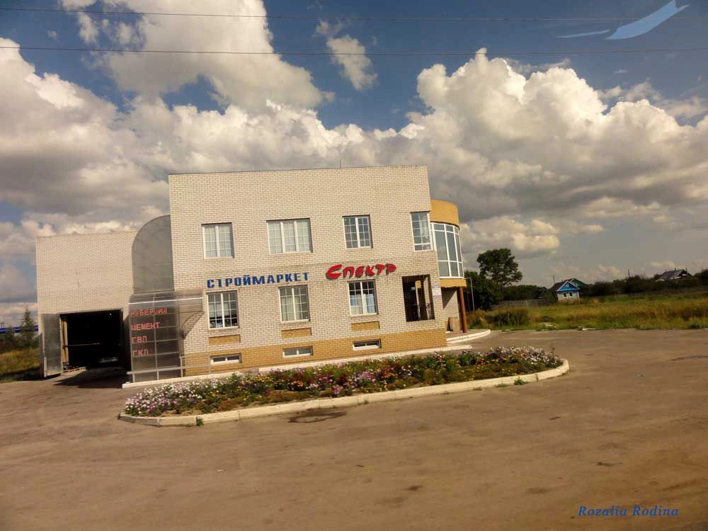 Городецкий район