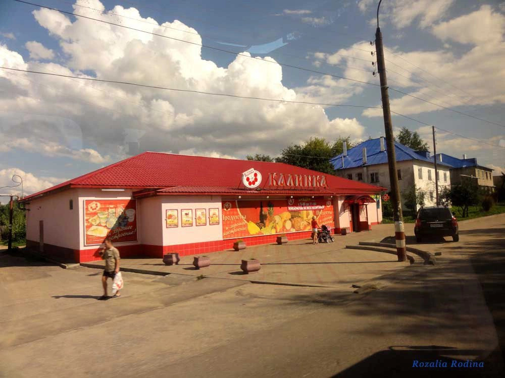 Городецкий район