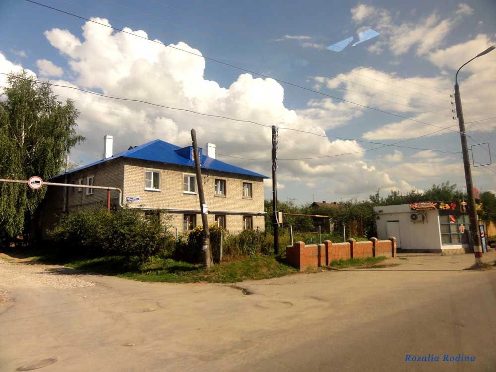 Городецкий район