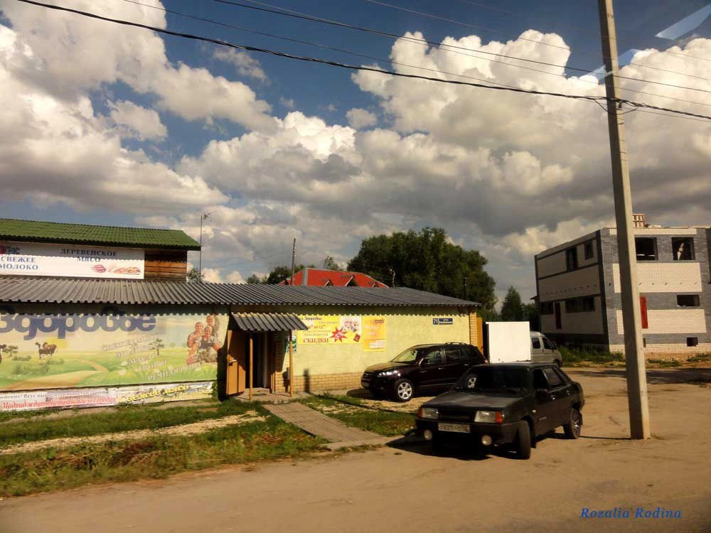 Городецкий район