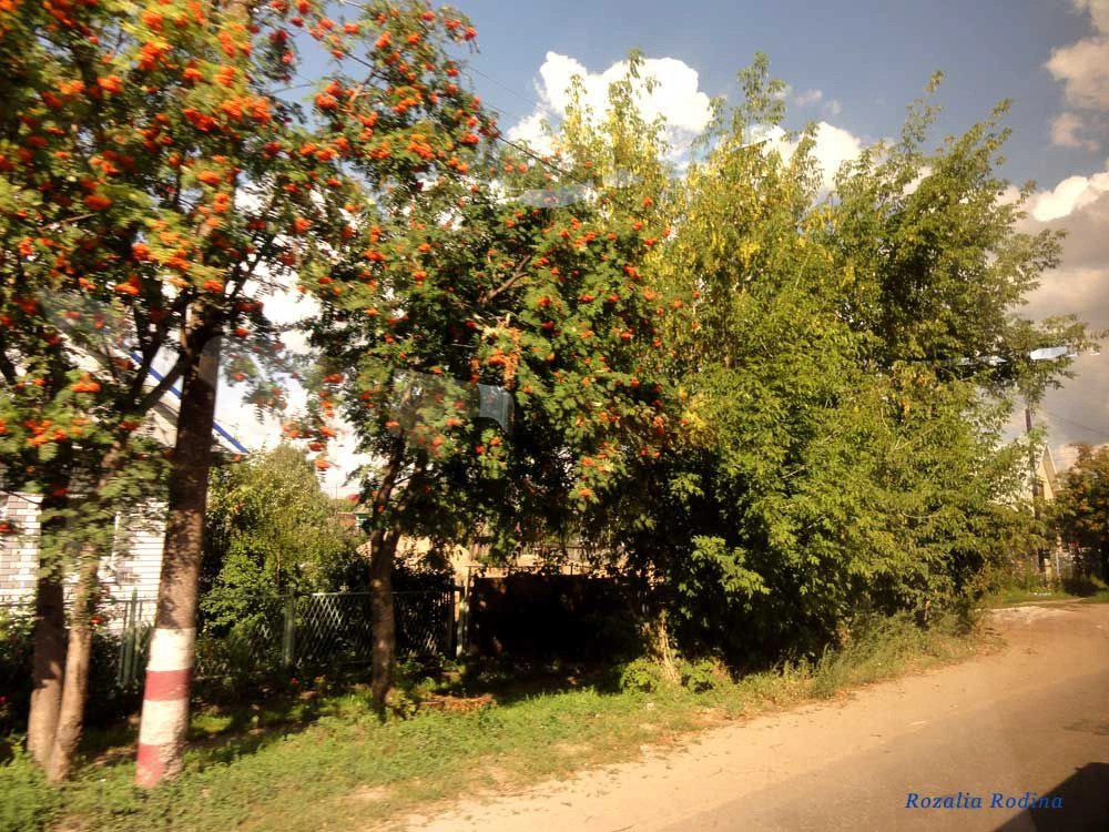 Городецкий район