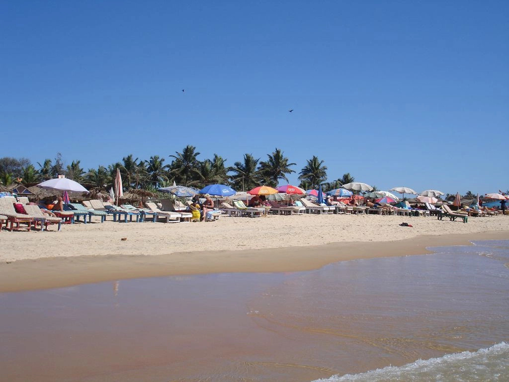 Арпора