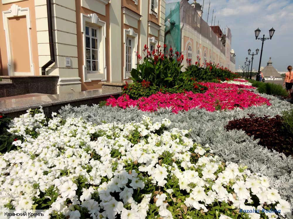 Казань