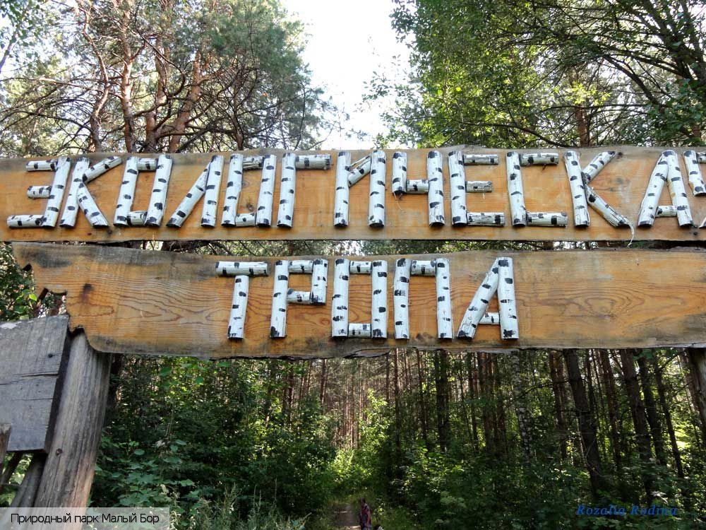 Елабуга (Татарстан)