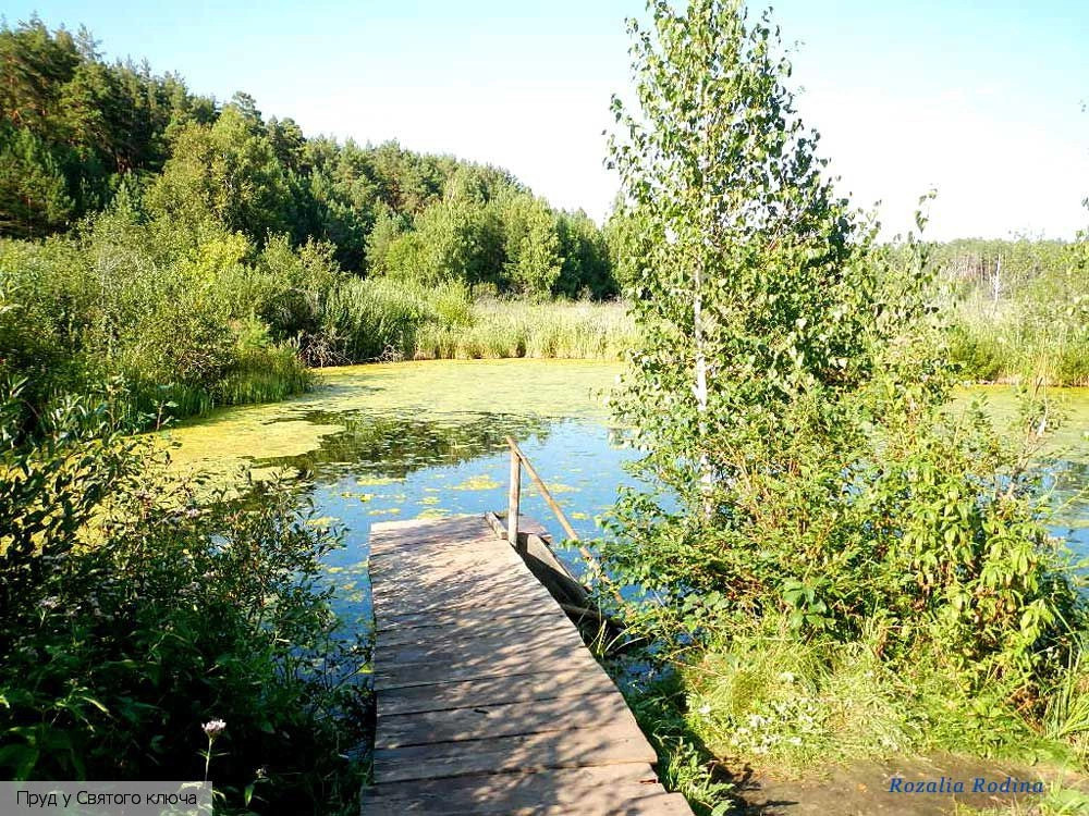 Елабуга (Татарстан)