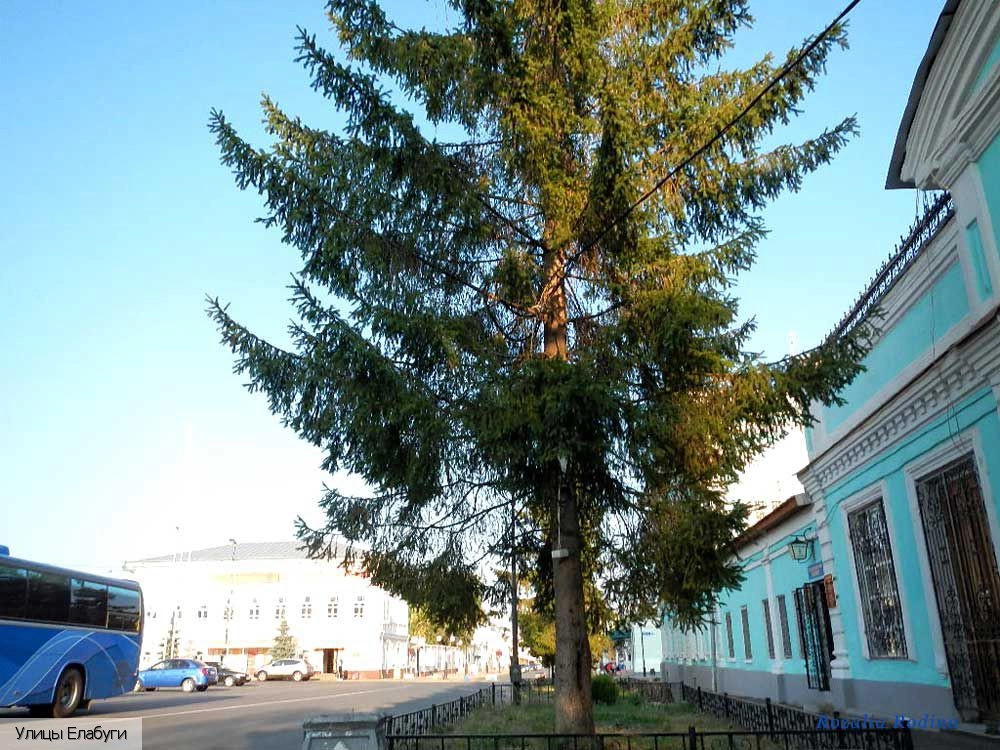 Елабуга (Татарстан)