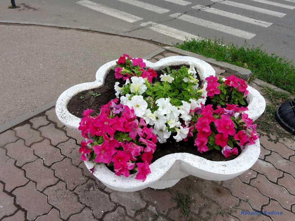 Татарстан