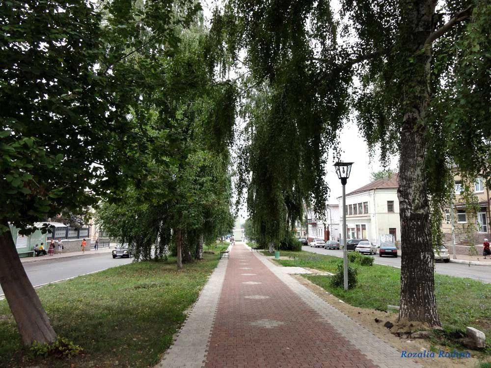 Чистополь город