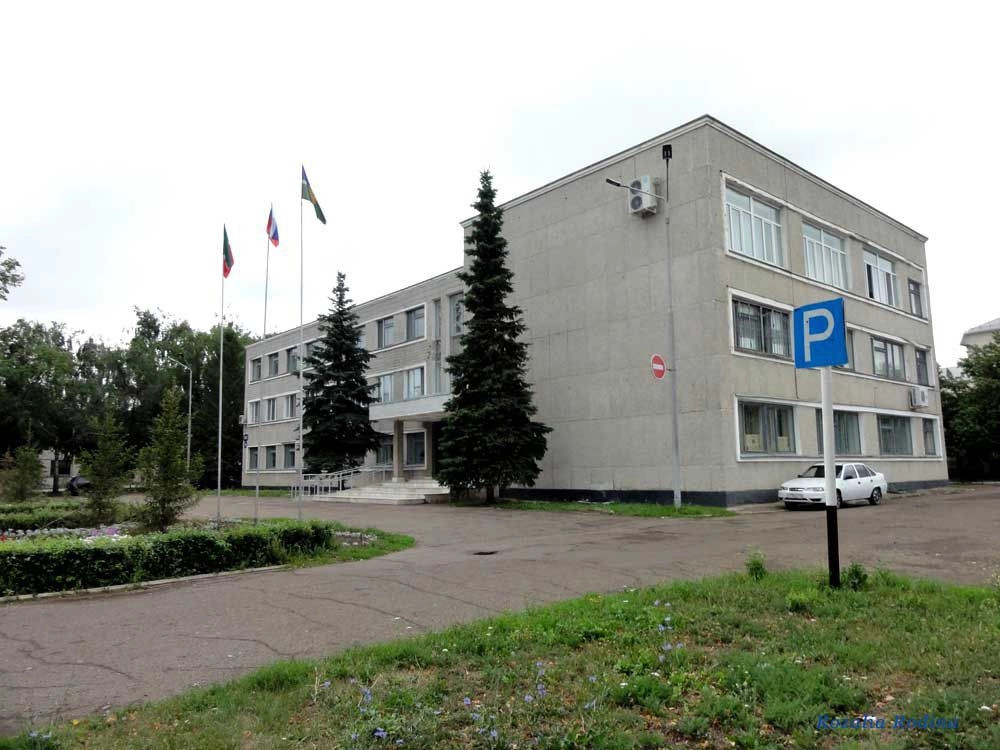 Чистополь город
