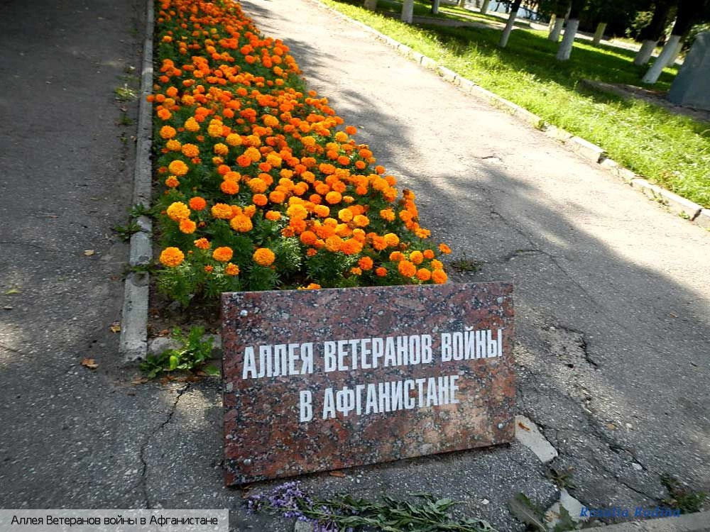 Чебоксары городской округ