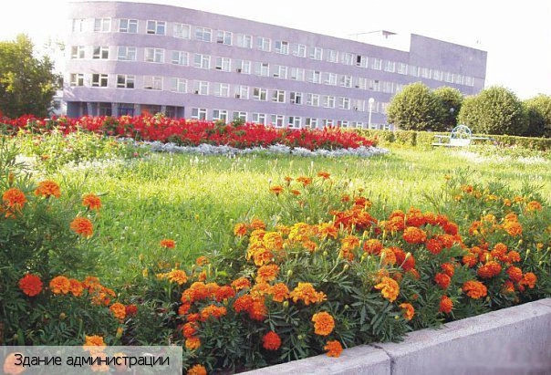 Канаш город