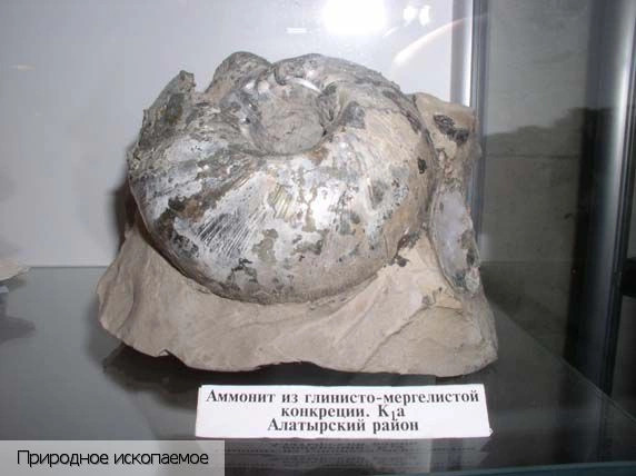 Алатырский район