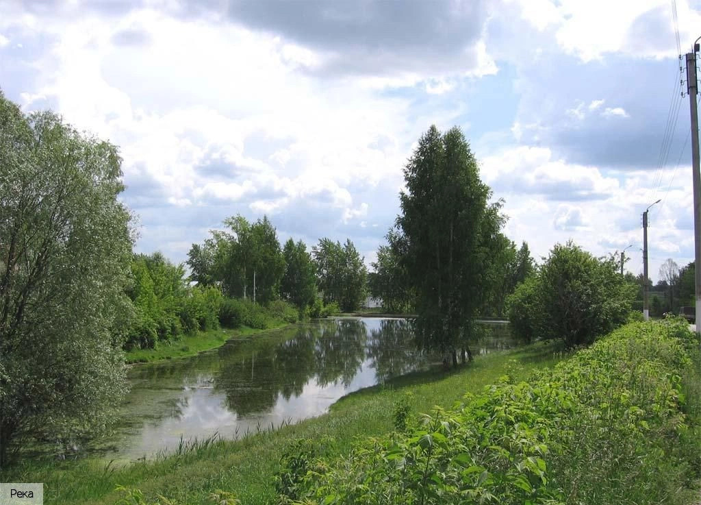 Аликовский район