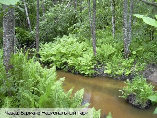Батыревский район