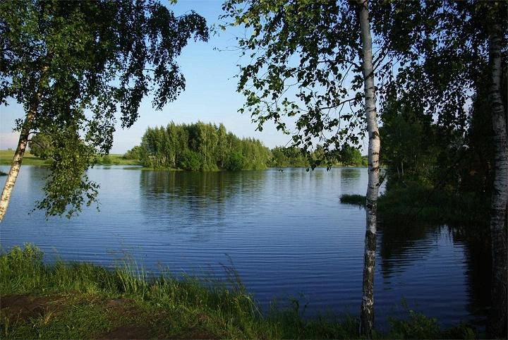 Батыревский район