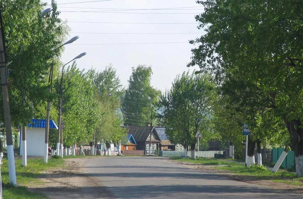 Козловский район