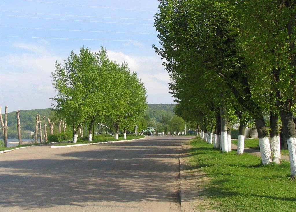 Козловский район
