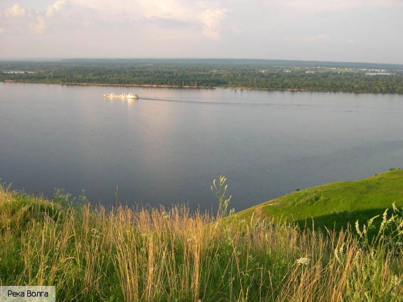 Козловский район