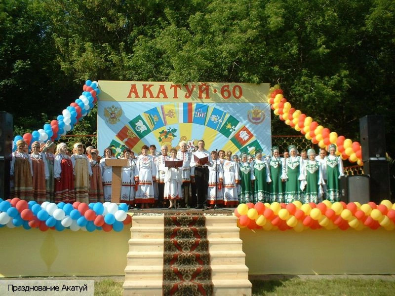 Мариинско-Посадский район