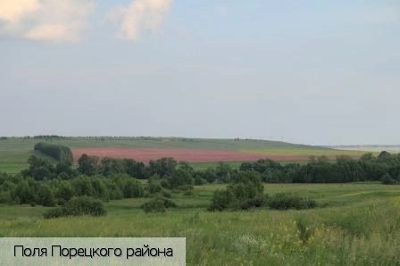 Порецкий район