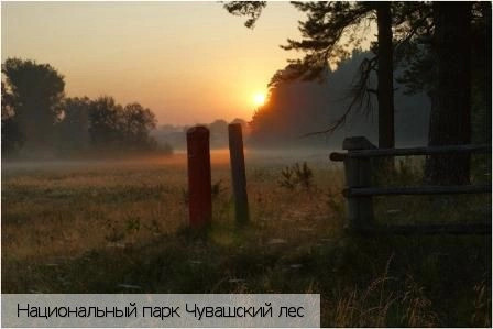 Шемуршинский район