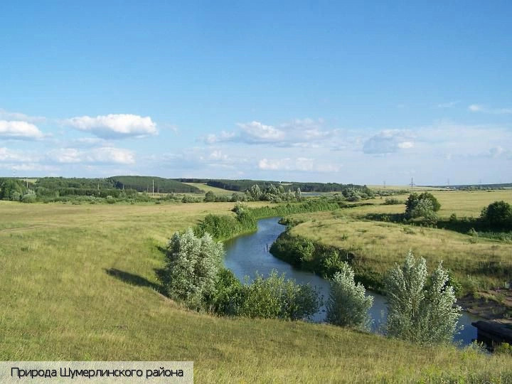 Шумерлинский район