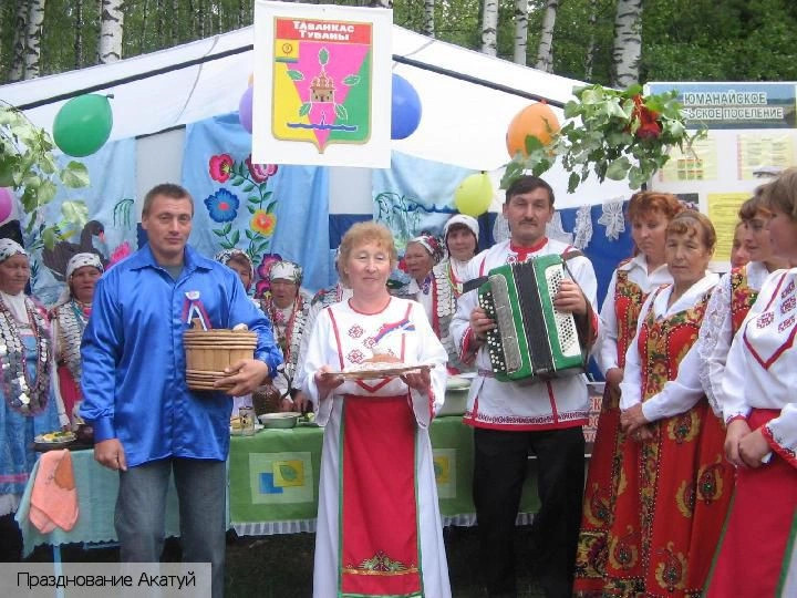 Шумерлинский район