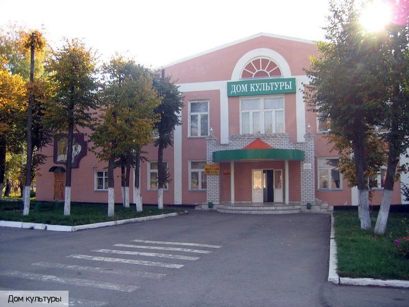 Яльчикский район