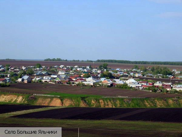 Яльчикский район