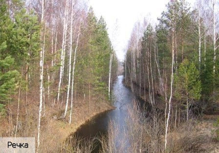 Сосновка пгт