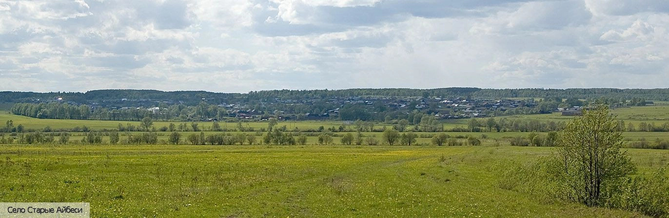 Алатырский район