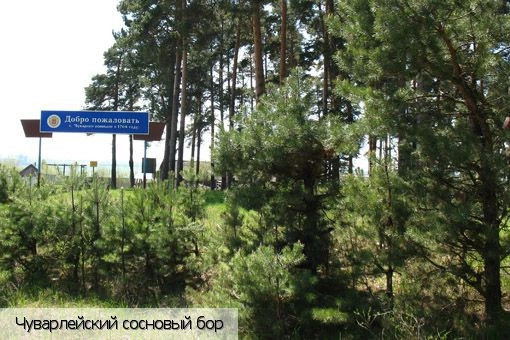 Алатырский район