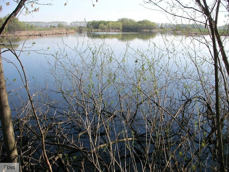 Алатырский район