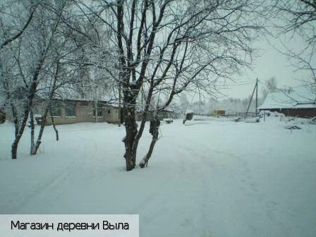 Выла