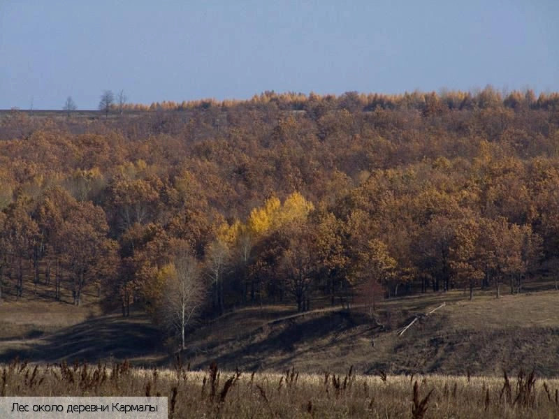 Кармалы