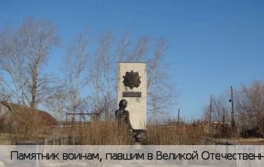 Кивой